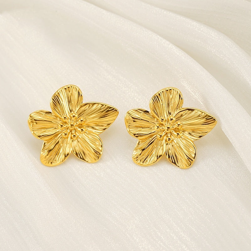 Asala - Boucles Chams
